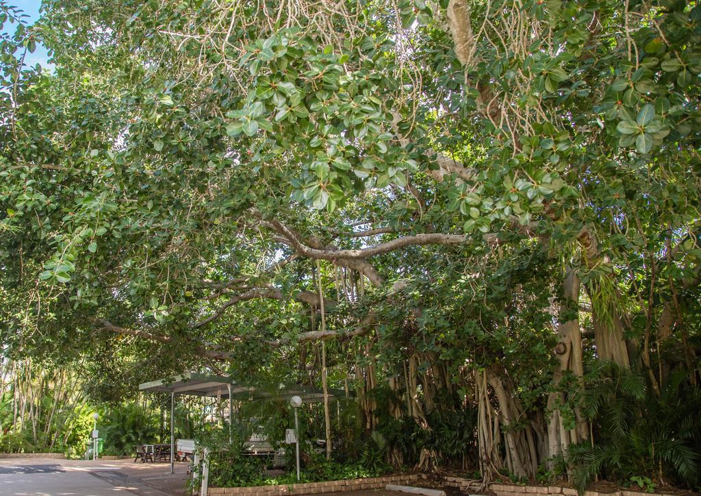 Southside Holiday Village Rockhampton Zewnętrze zdjęcie